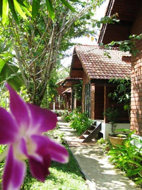 Phu Aroon Guesthouse Sukhothai Pokój zdjęcie